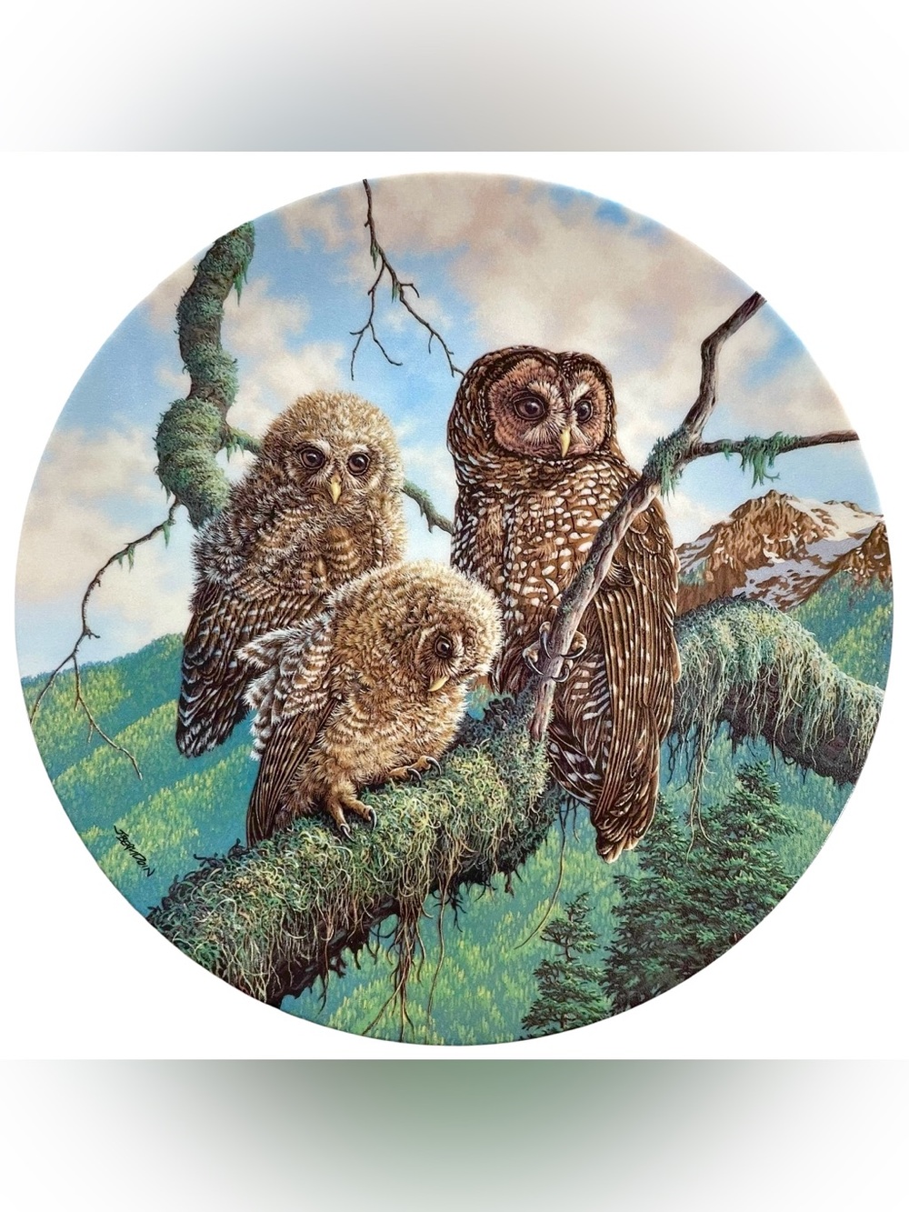 Vintage 1990s Woodland Watch Spotted Owls Collectors Plate Artist Jim Beaudoin